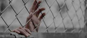 Asylum & Human Rights